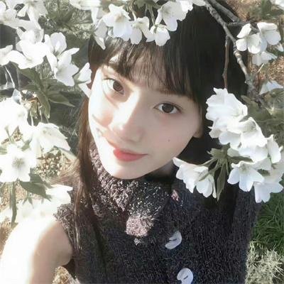 选举风暴